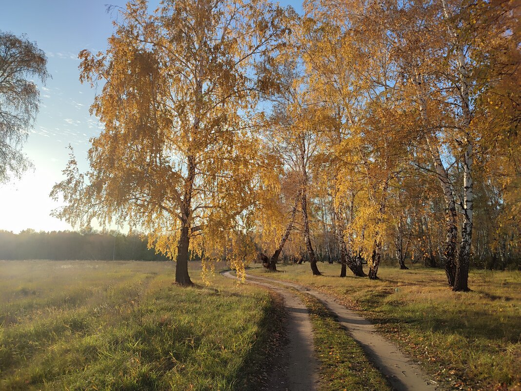 Осень на Алтае - Валентина Богатко 