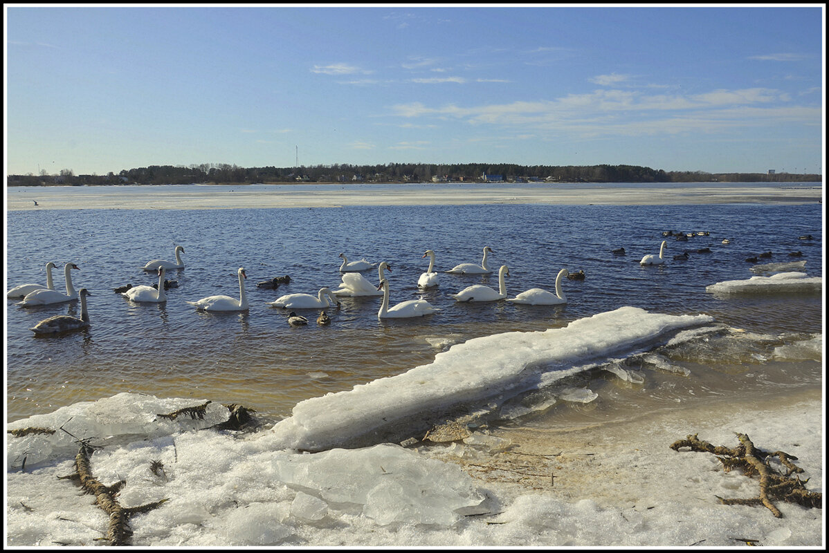Перезимовали - Aleksandr Gal