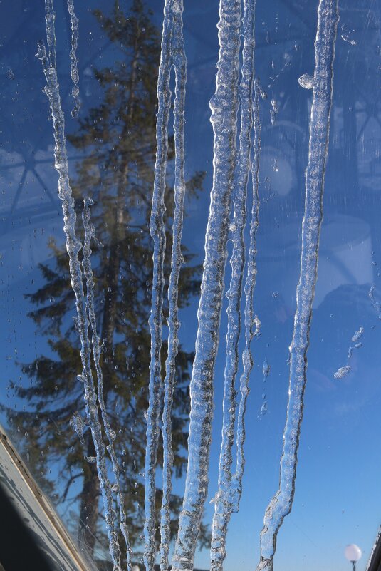Сосульки за окном - Ольга 