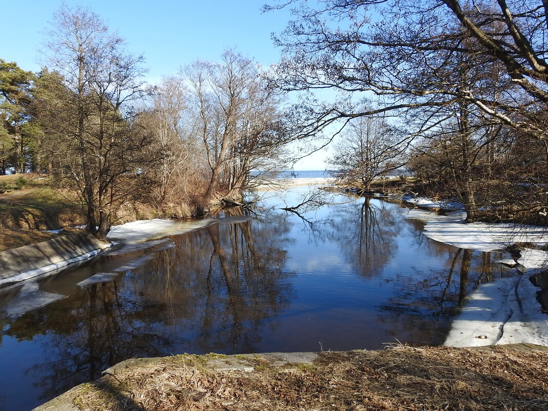 весна - ИННА ПОРОХОВА