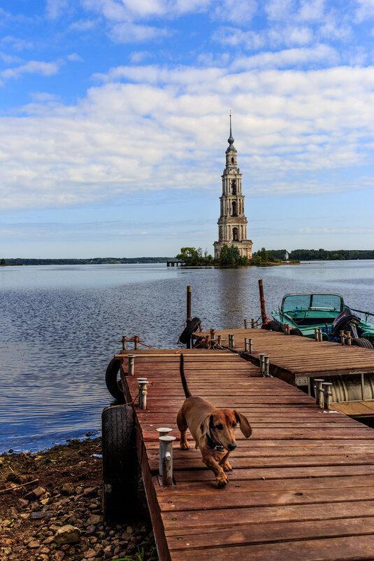 Хозяин ты где. - Владимир Гришин