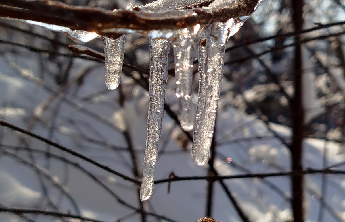 Сосульки - светлана льдокова
