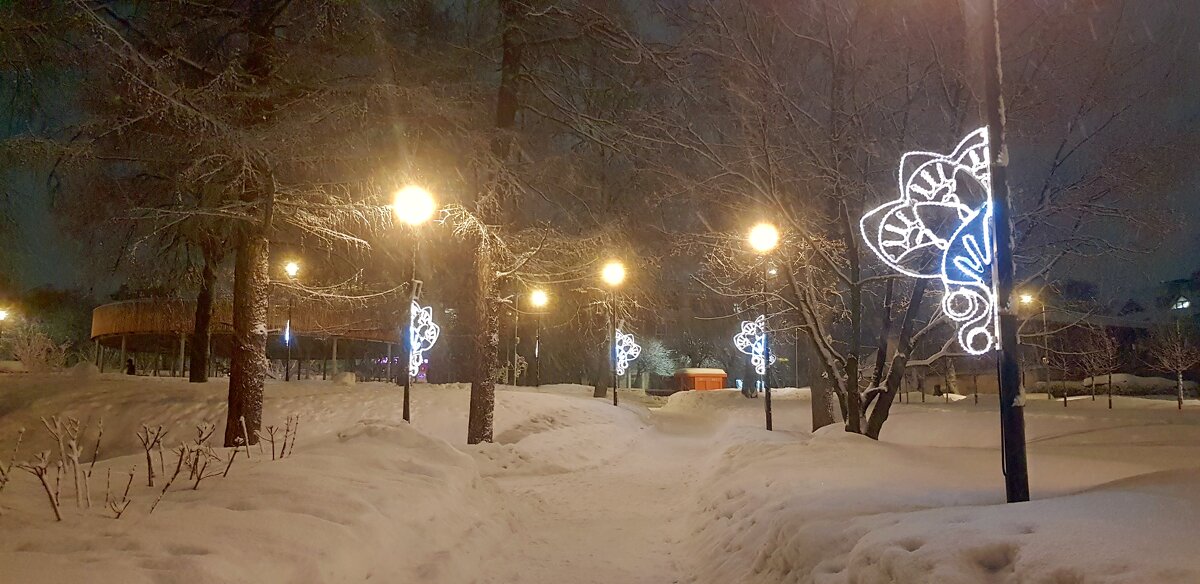 Вечером в парке - Galina Solovova