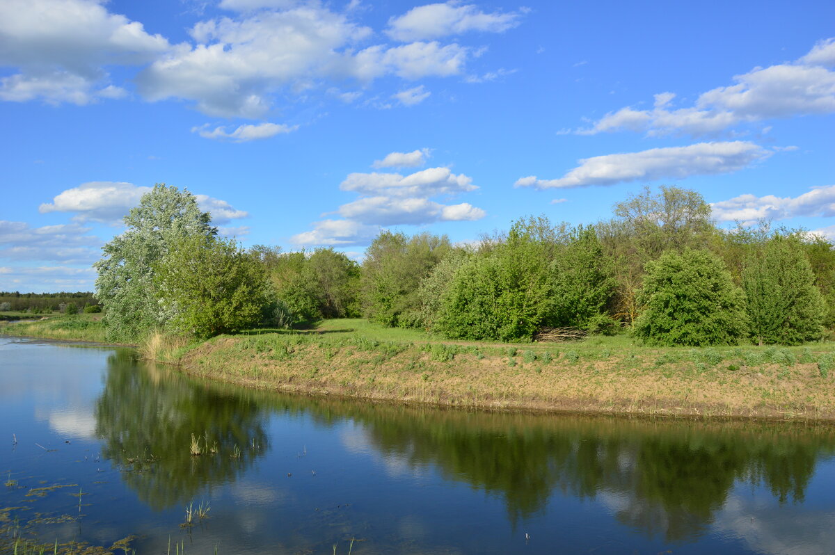 Вечерняя тишина. - Виктор 