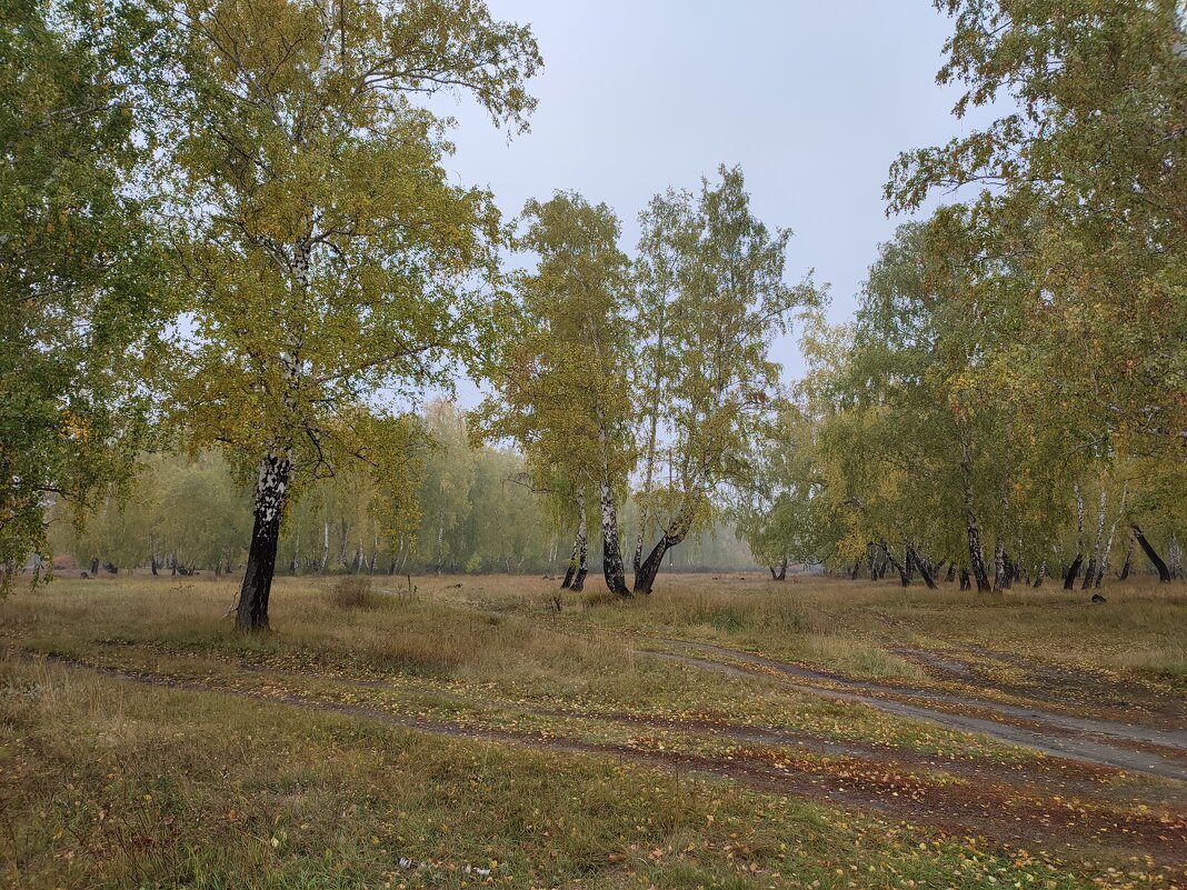 Осень на Алтае - Валентина Богатко 