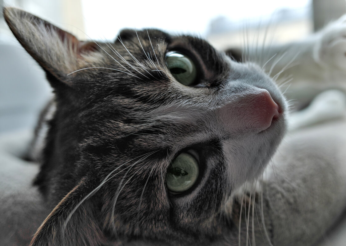 .... - ВЛАДИМИР 