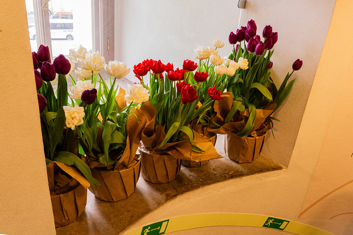 Весна - Ирина Соловьёва