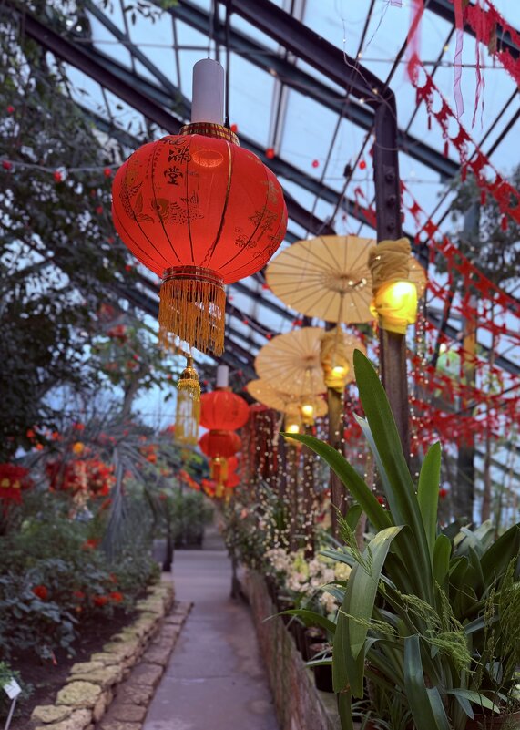 Оранжерея по восточному) - Любовь 