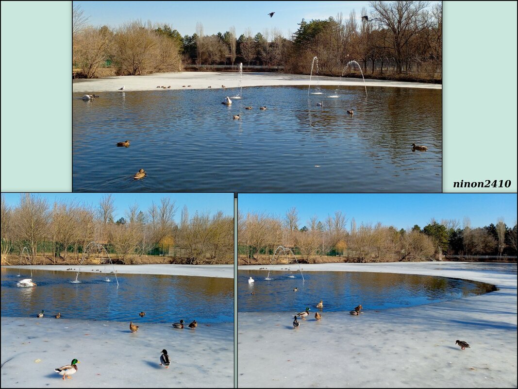 Март в ростовском зоопарке - Нина Бутко