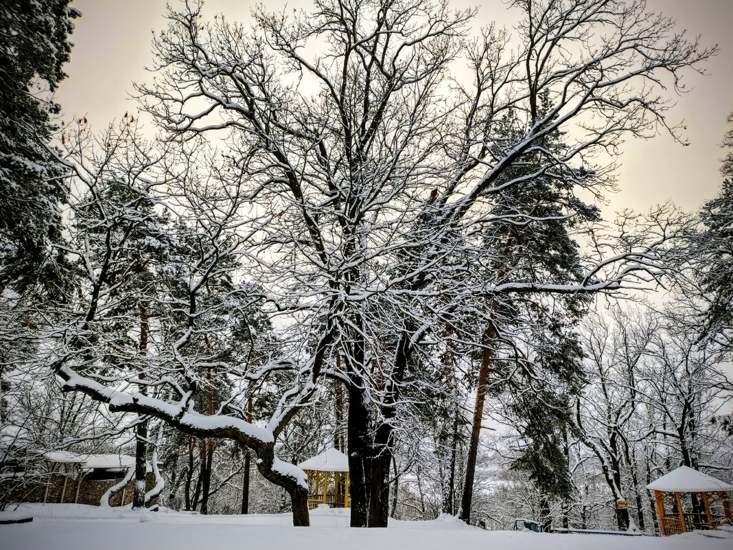 февраль... - Михаил Столяров