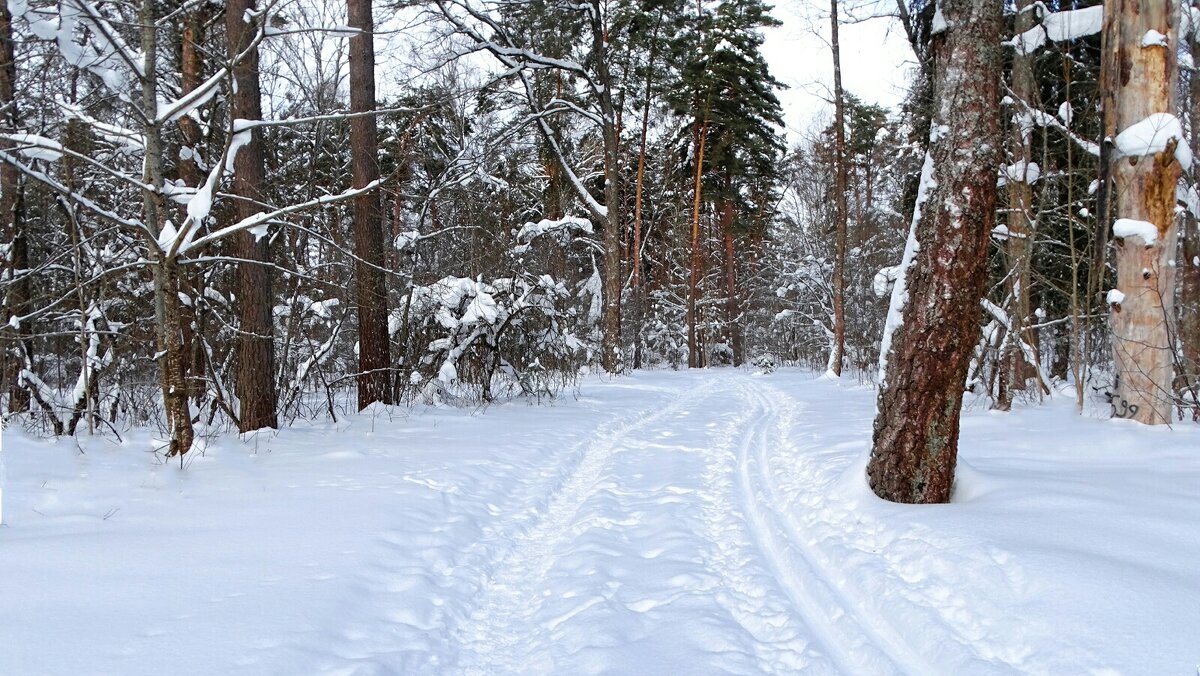 О минувшей зиме. - Милешкин Владимир Алексеевич 
