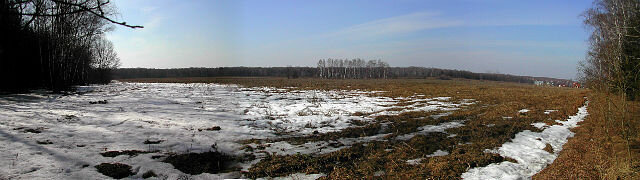 Панорама - Tata Wolf