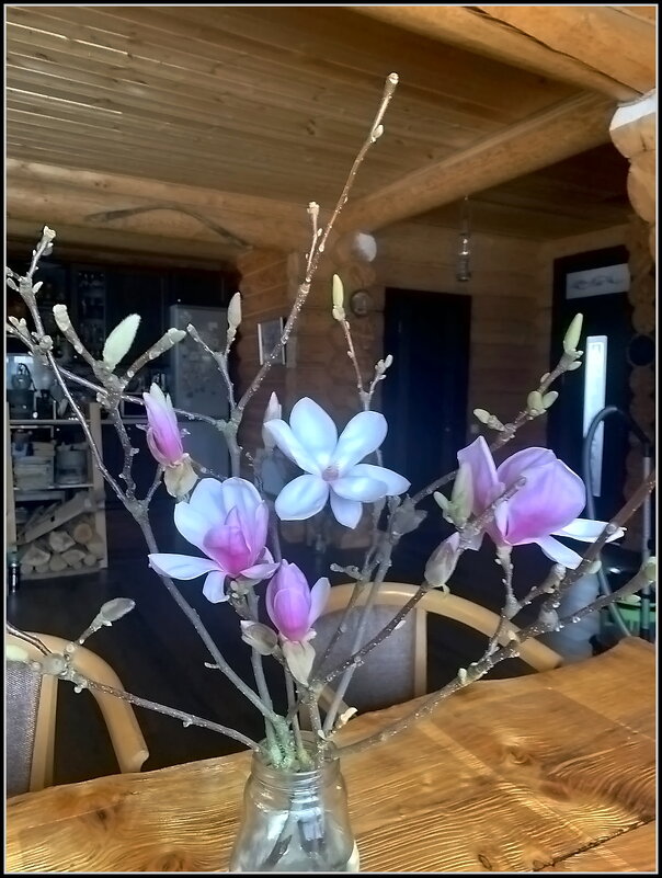 Сюрпризы весны - Ольга Довженко