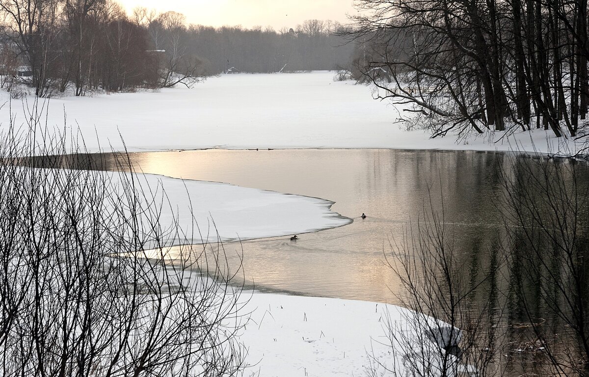 Мартовский пейзаж - Валерий Иванович