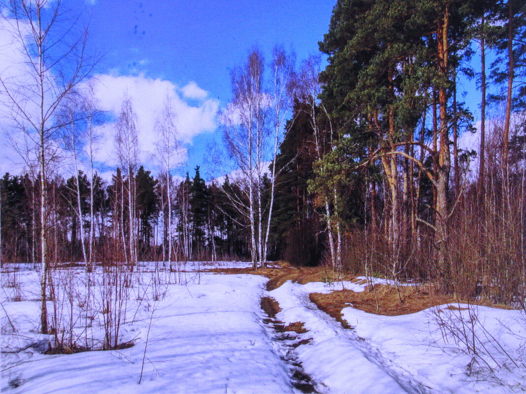 На солнышке тает снег - Людмила Смородинская