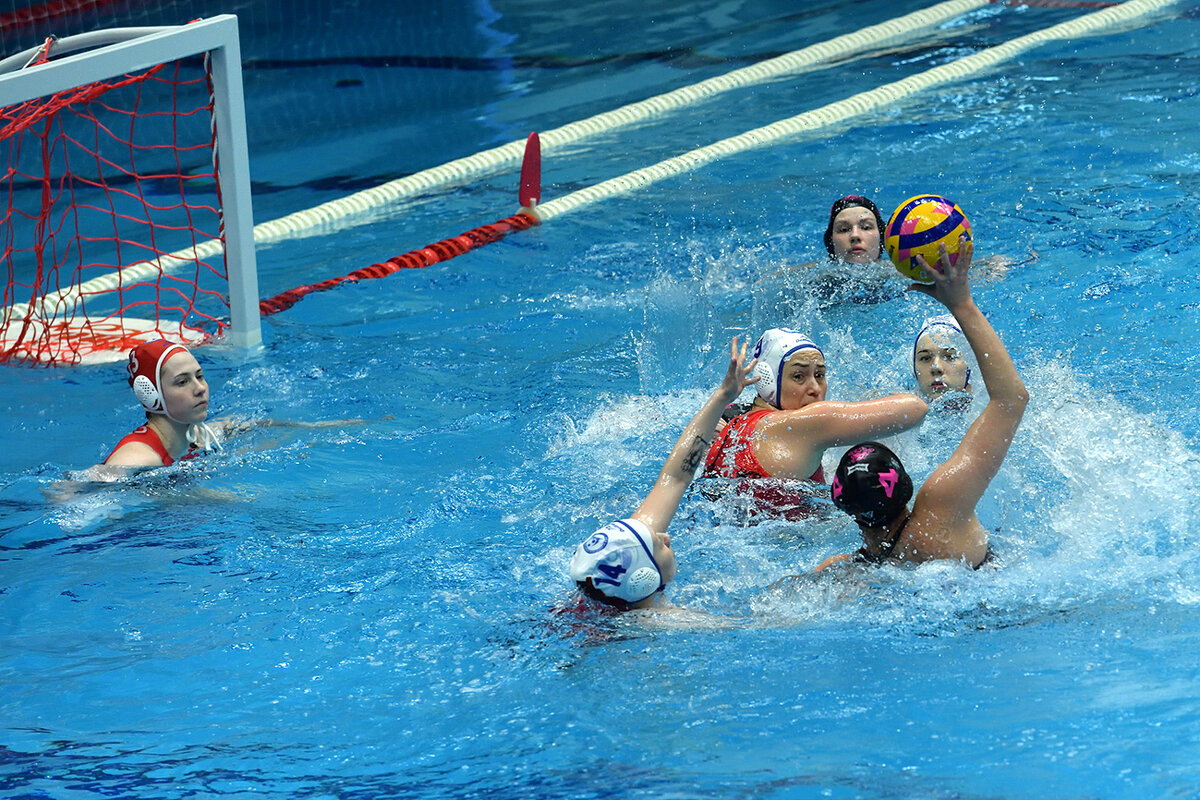 Опасность у ворот! - Александр Гриднев