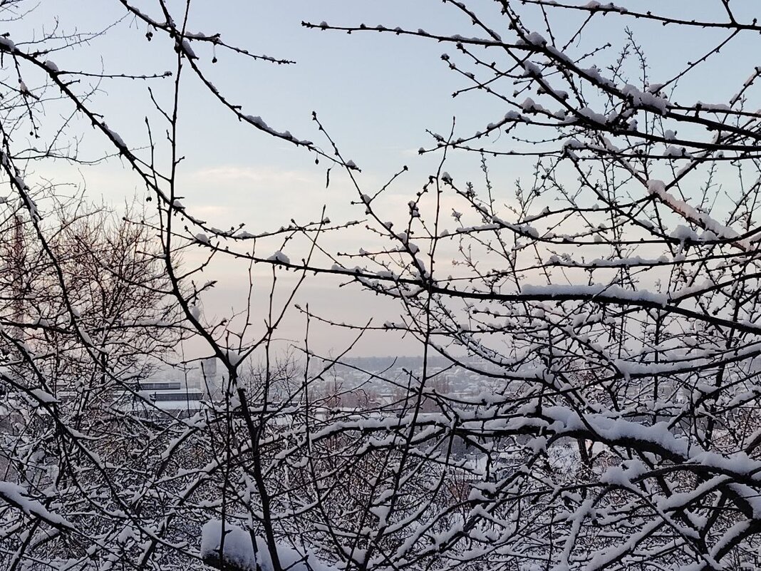 Зима - Наталья (ShadeNataly) Мельник