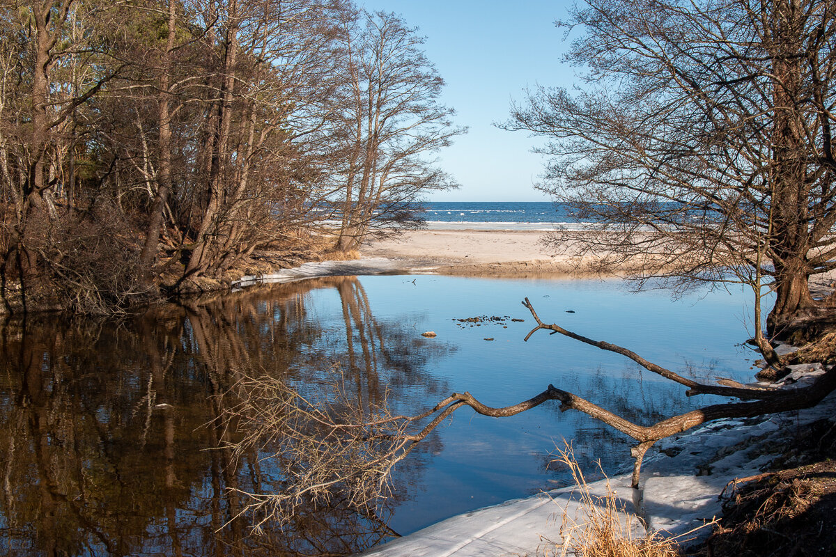 *** - Геннадий Порохов