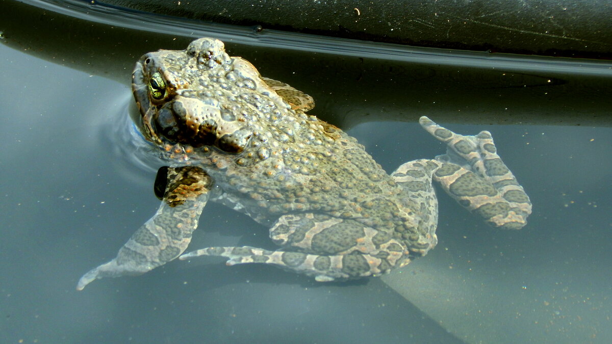 Ждёт. - ВикТор Быстров