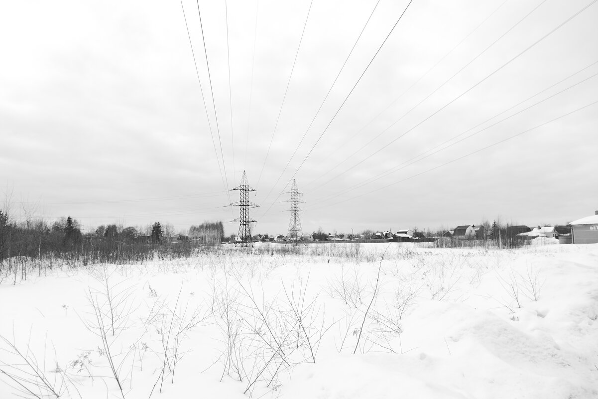 Мечты о ч/б Лейке 46. Объектив лейка. - Михаил Елочкин