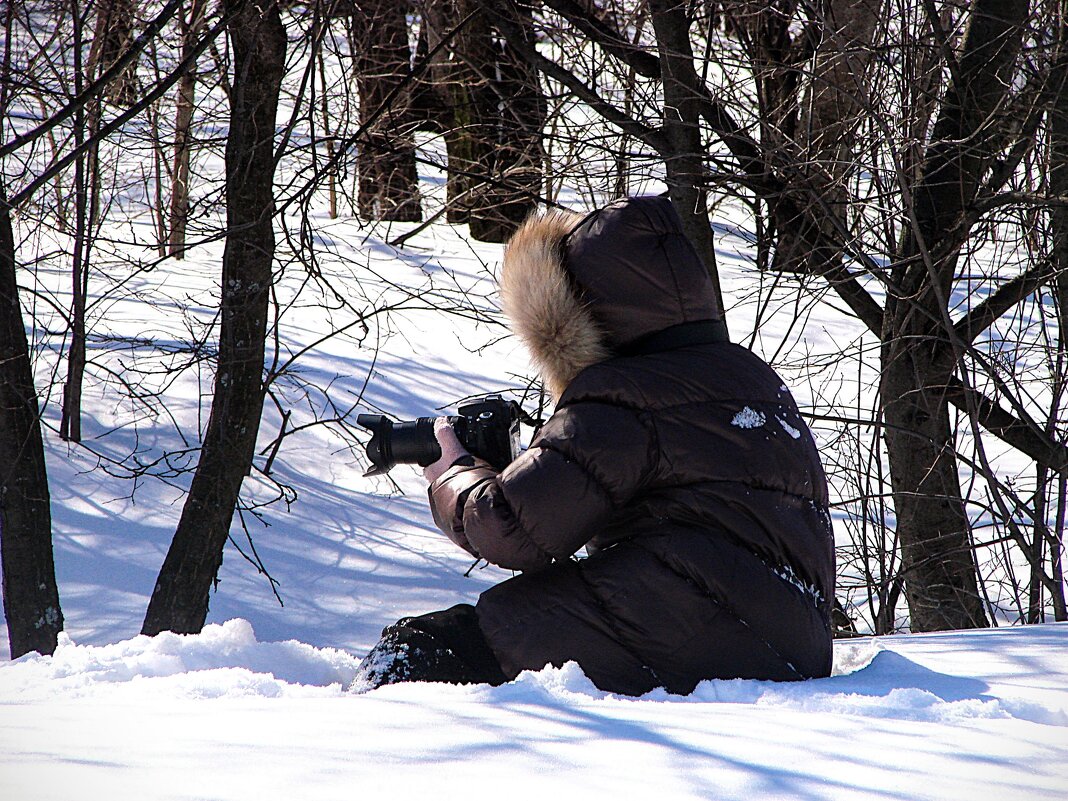 Коллега по снежному марту,,,, - Анатолий Колосов