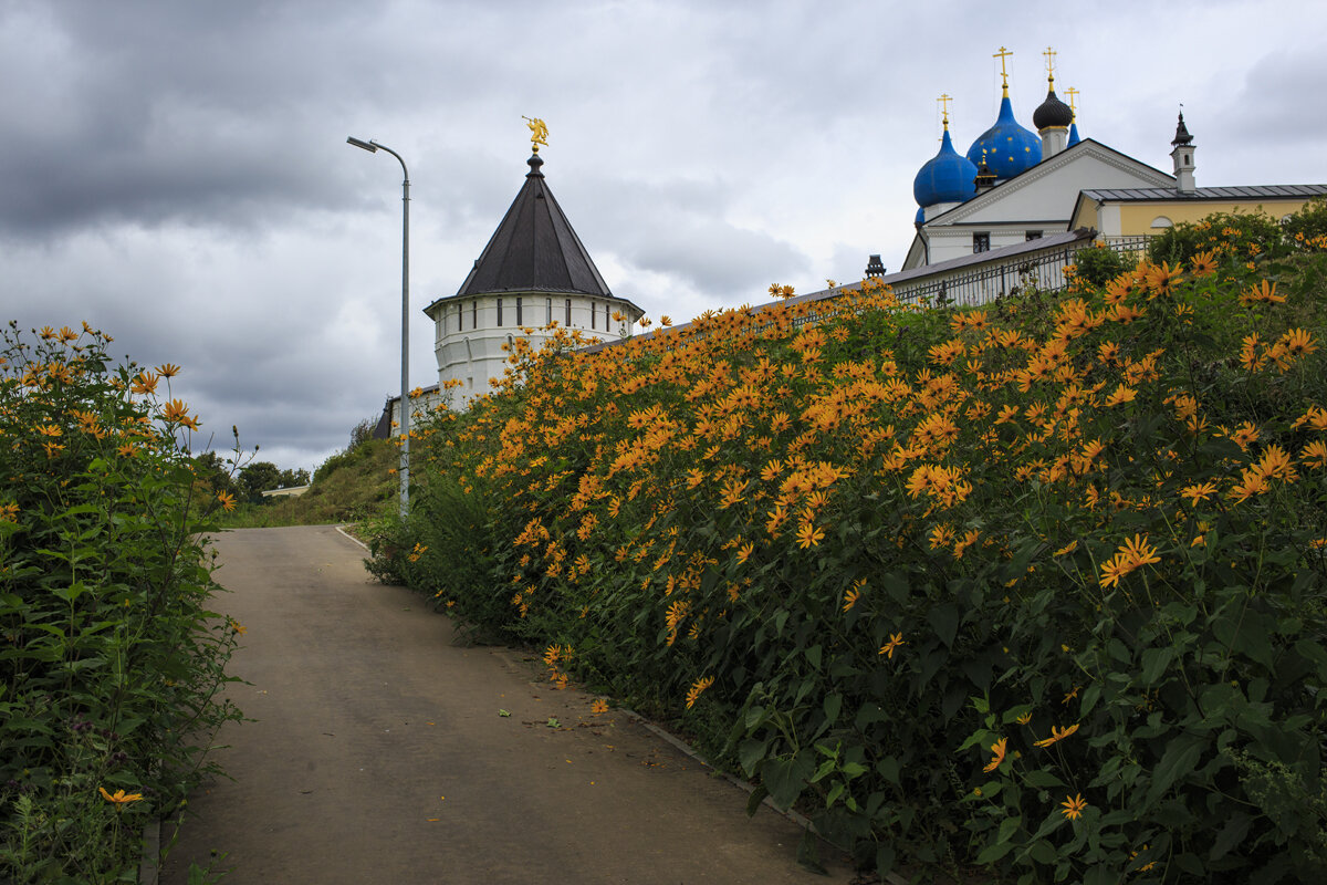 Старый  Серпухов - Владимир Гришин