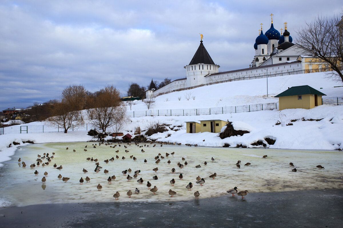 Старый  Серпухов - Владимир Гришин