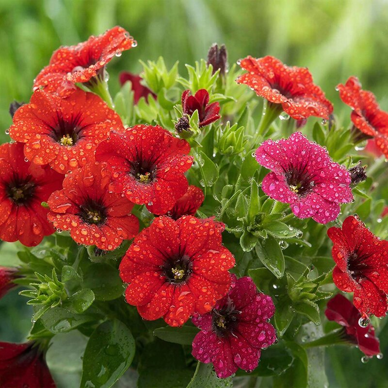 Друзья! С наступающим Вас праздником 8 марта !!! - МАРИЯ ПОПОВА