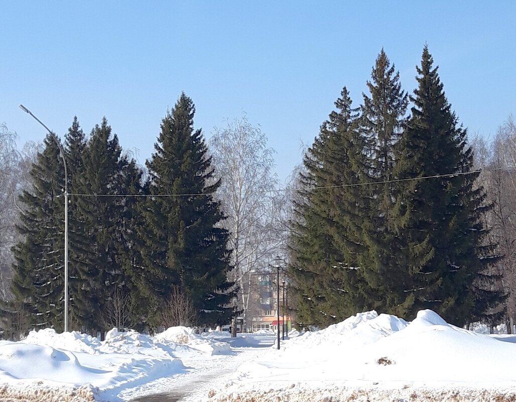 март - Венера Чуйкова