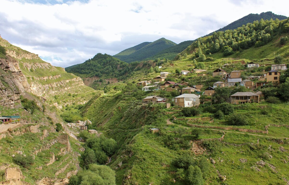 Новый Кахиб - Владимир Соколов (svladmir)