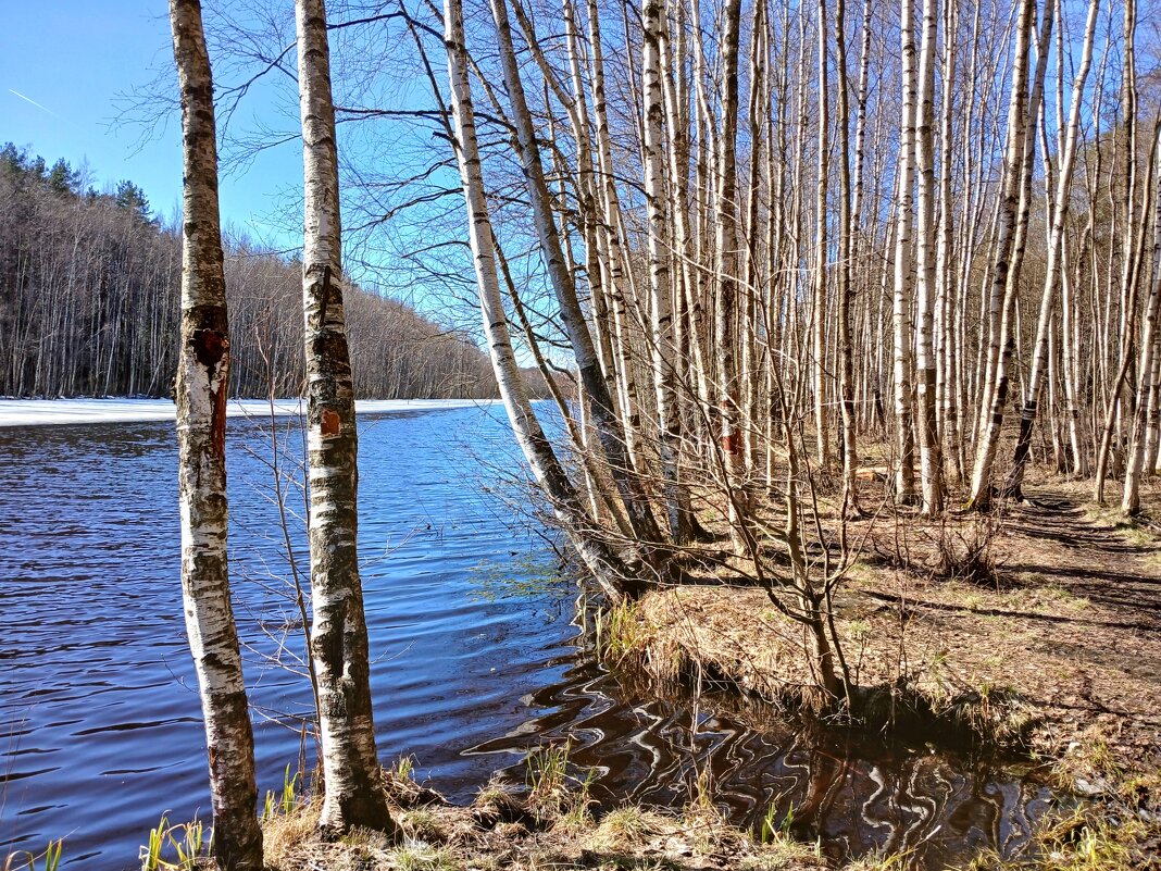 Юнтоловский парк-заповедник - Лия ☼