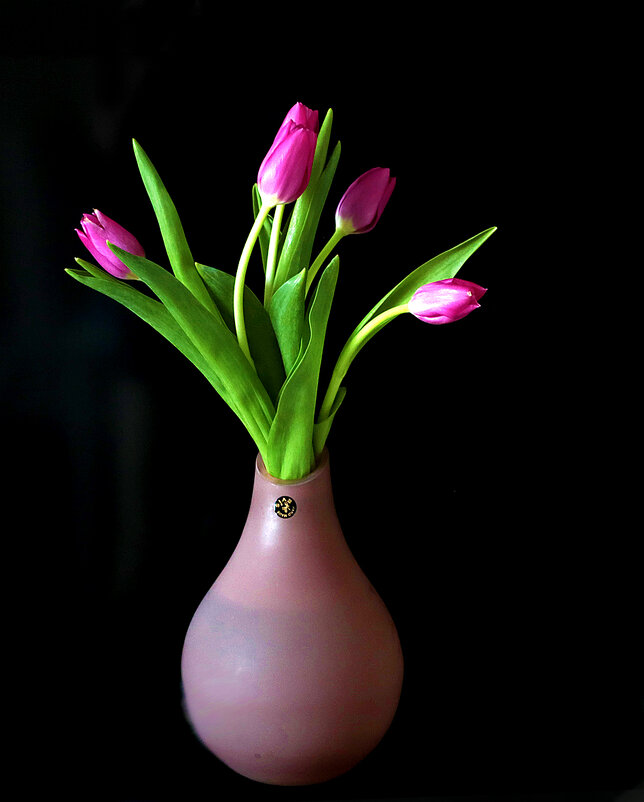 Весна идёт! - Светлана 