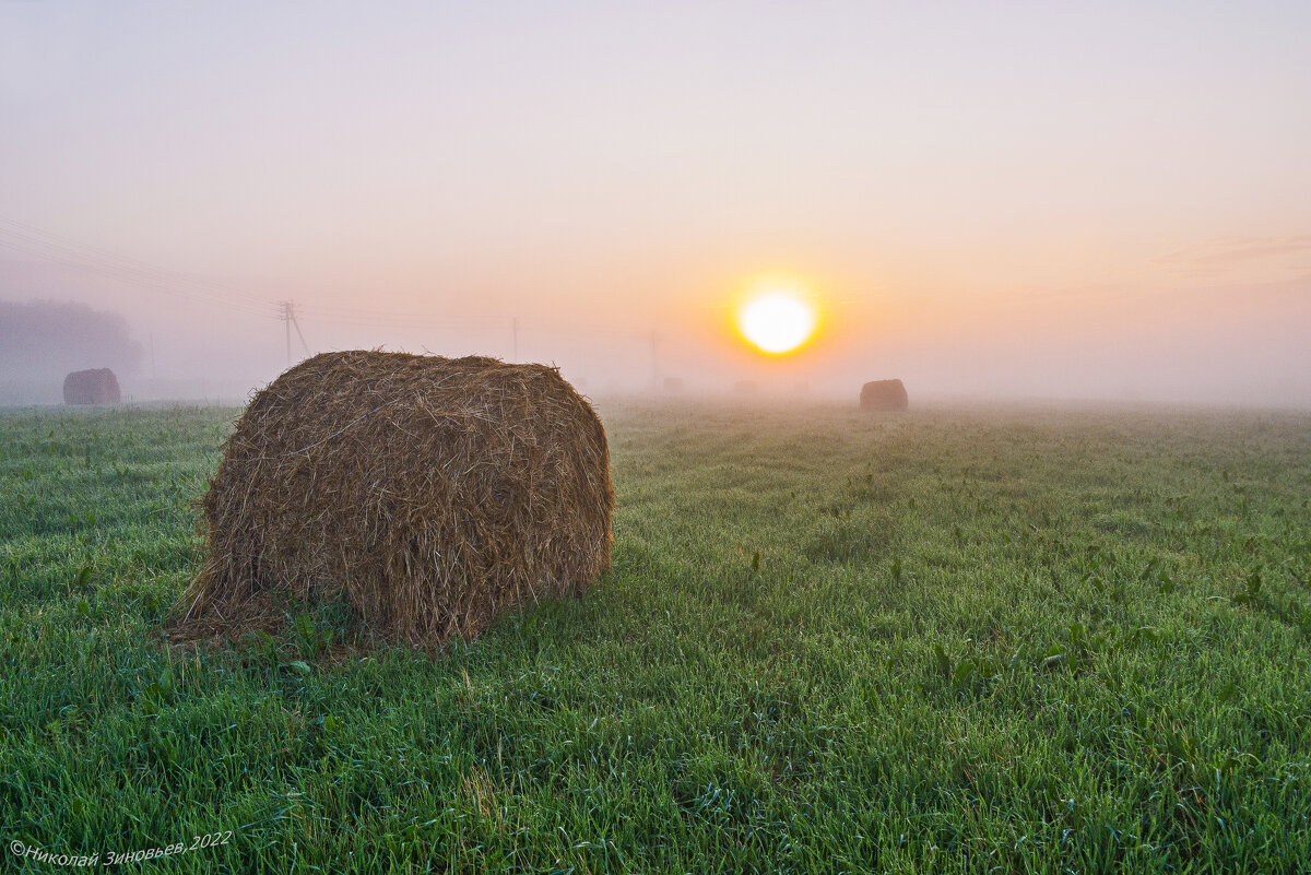 Ухта. Летние окрестности. - Николай Зиновьев
