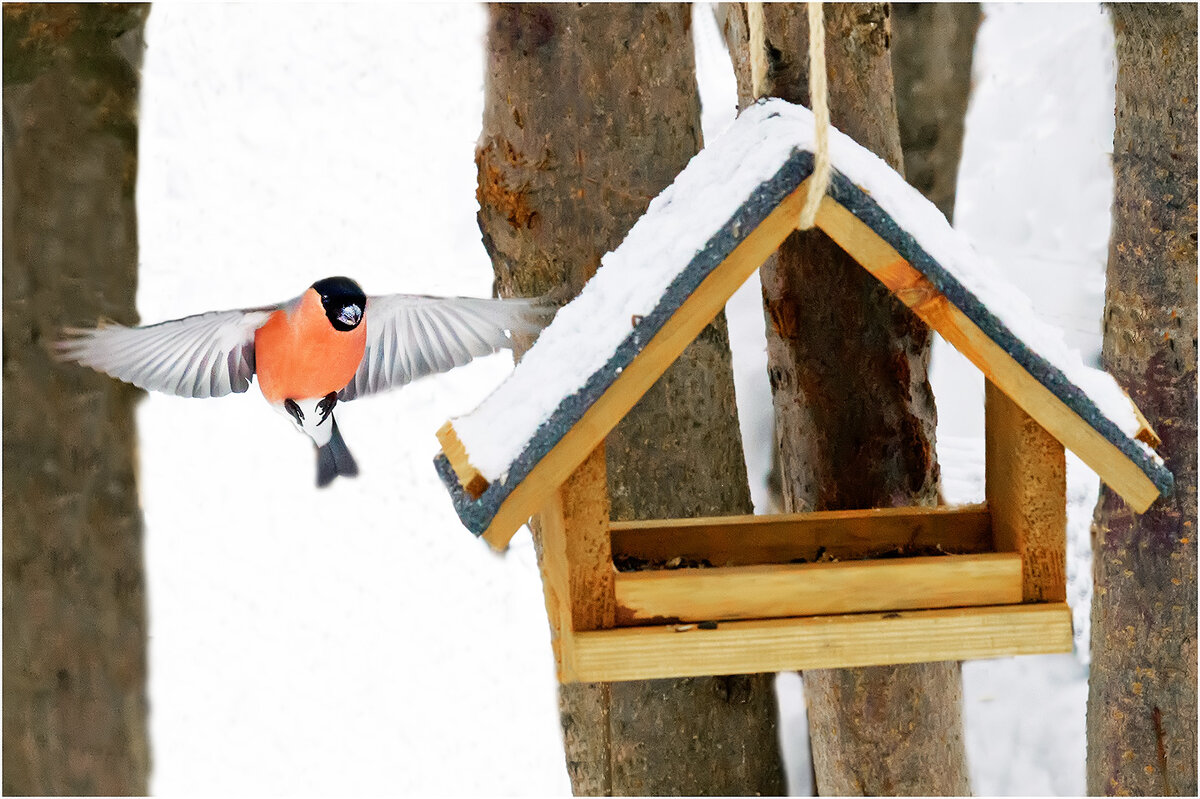 Спасибо вам, Люди ! - Валентин Котляров