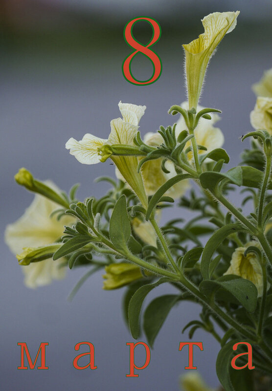 *** - Юрий Велицкий