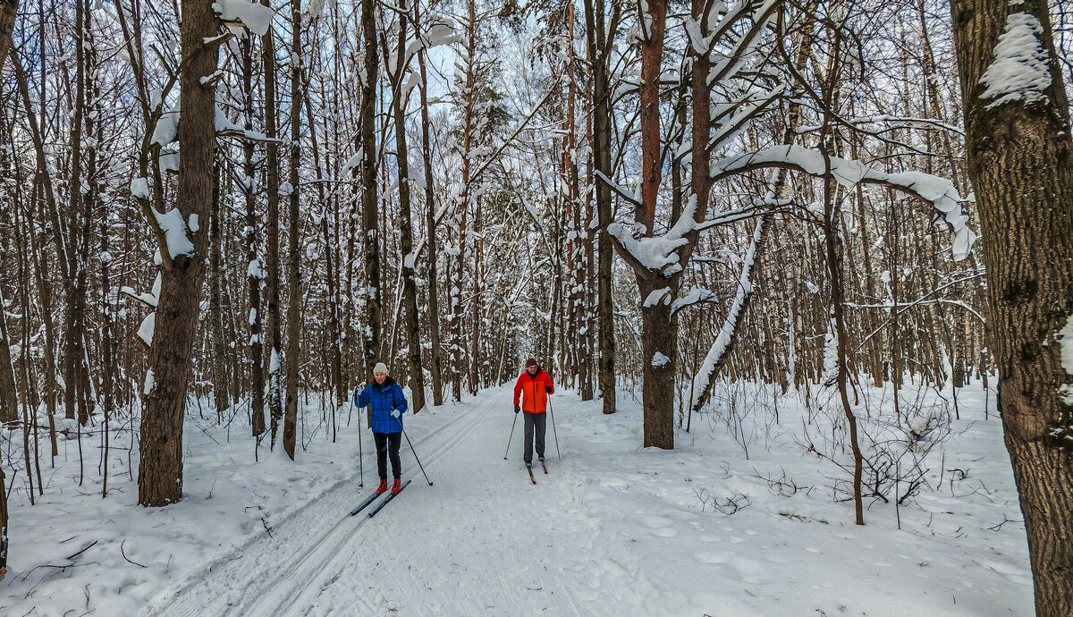 После метели 1 - Владимир Езеров 