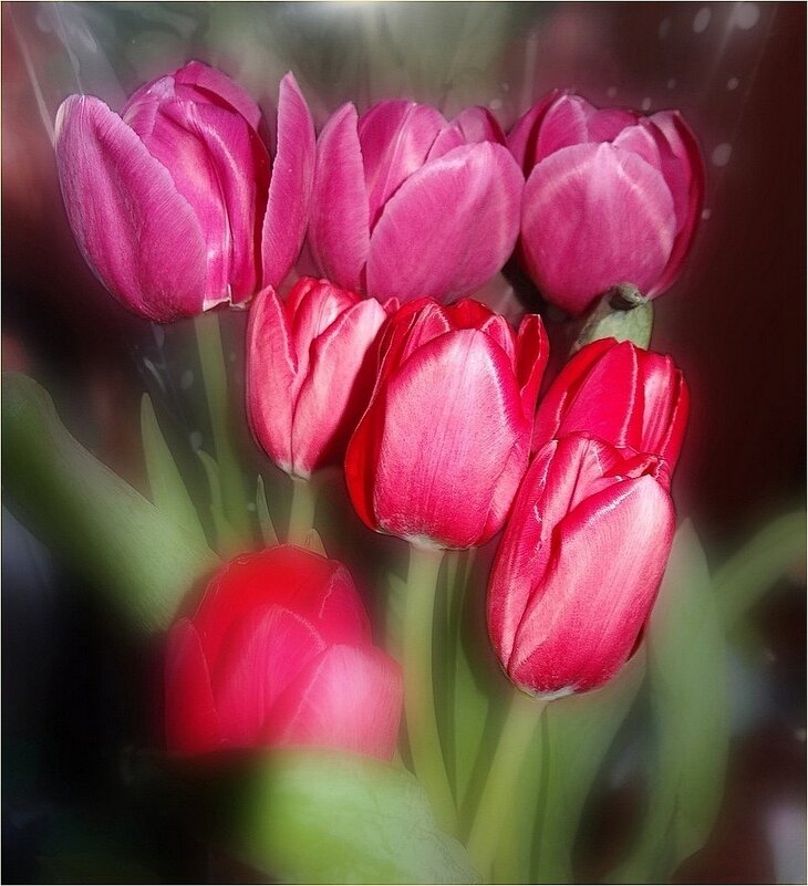 С праздником 8 Марта!! - Наталья ***