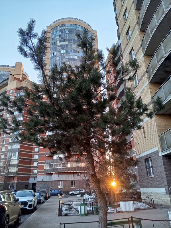 Закат - Сапсан 