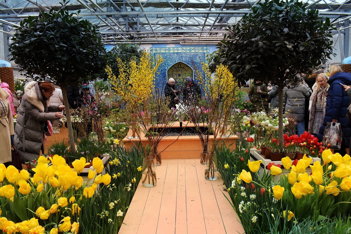 Весне дорогу! - Татьяна Помогалова