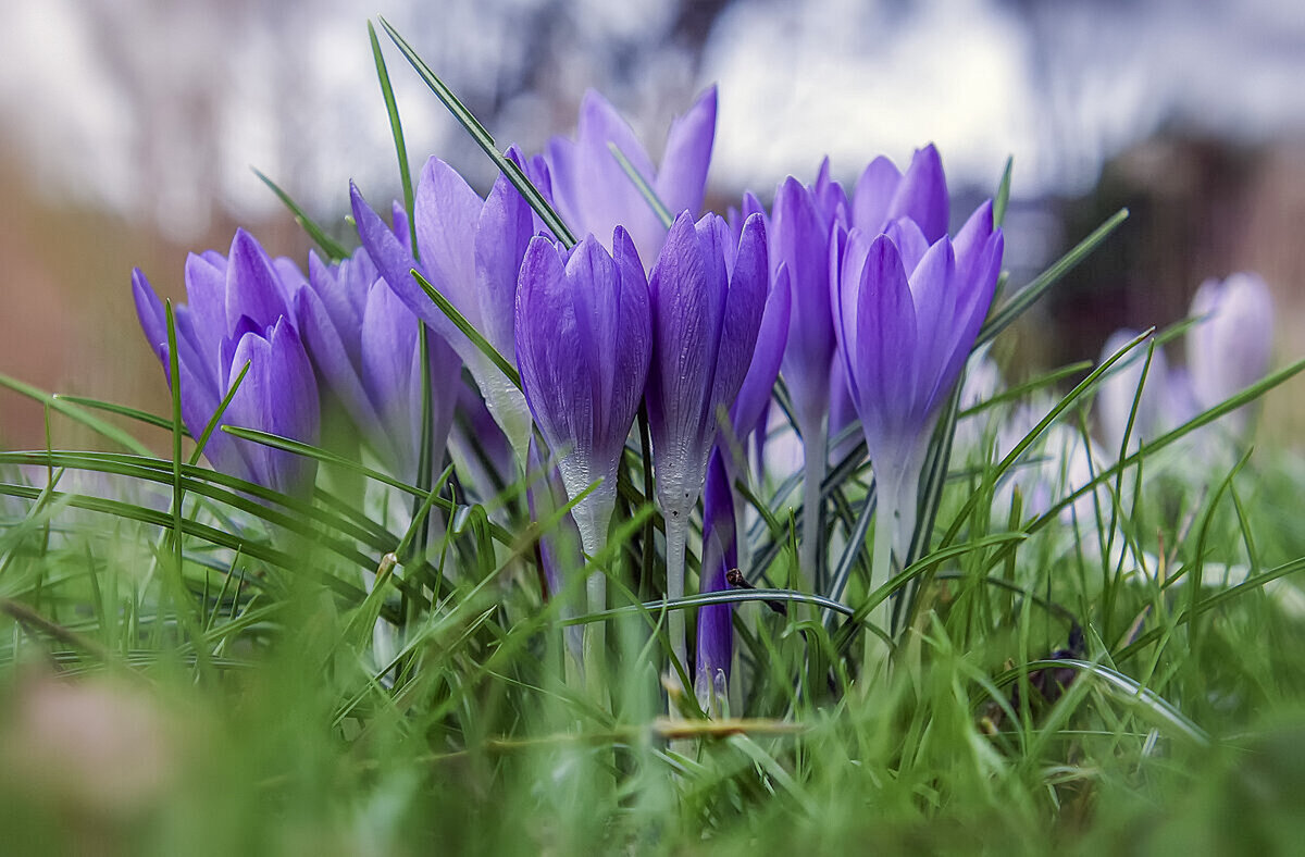 *** - Aleksey Afonin