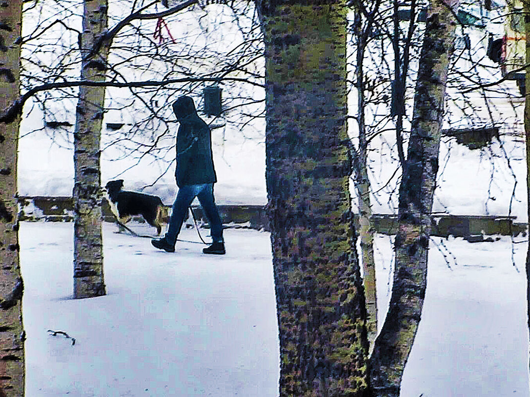 Март...Утро.На прогулке с  песиком! - Владимир 