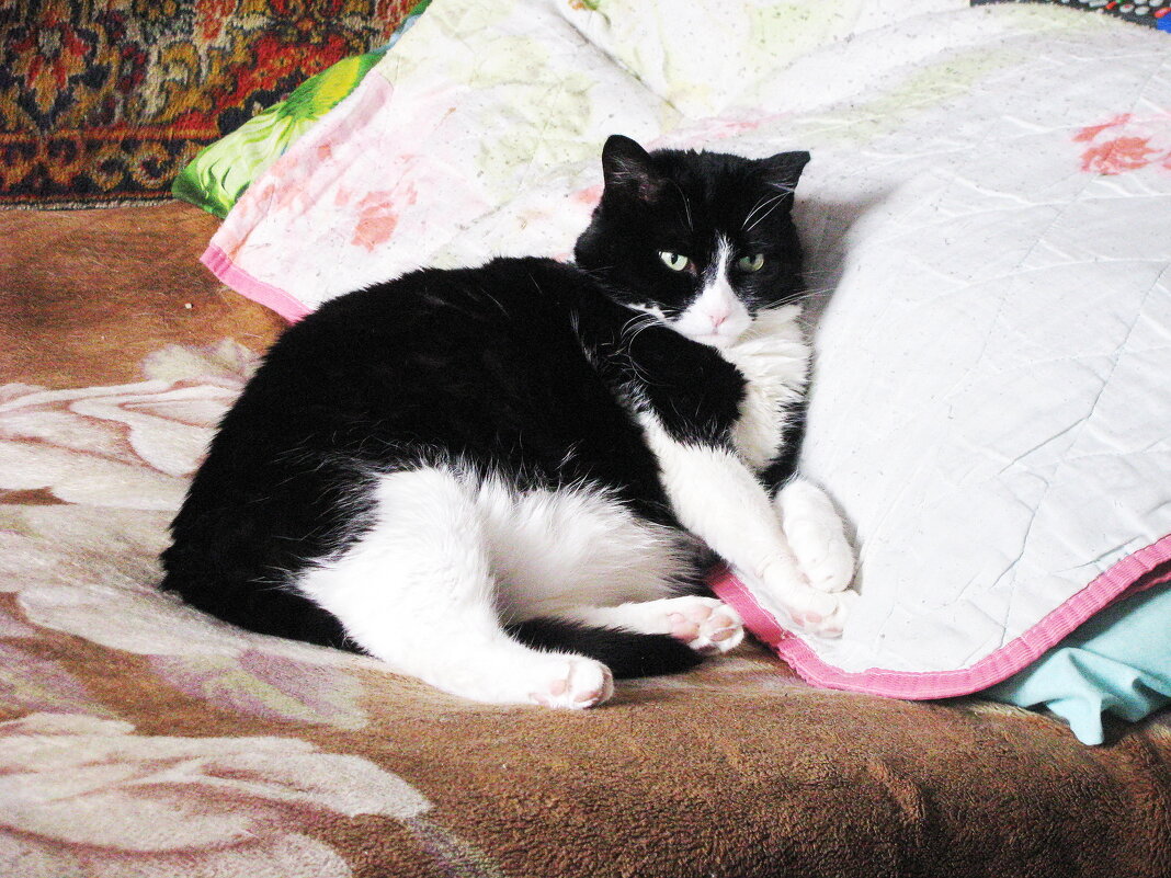 На отдыхе - Людмила Смородинская