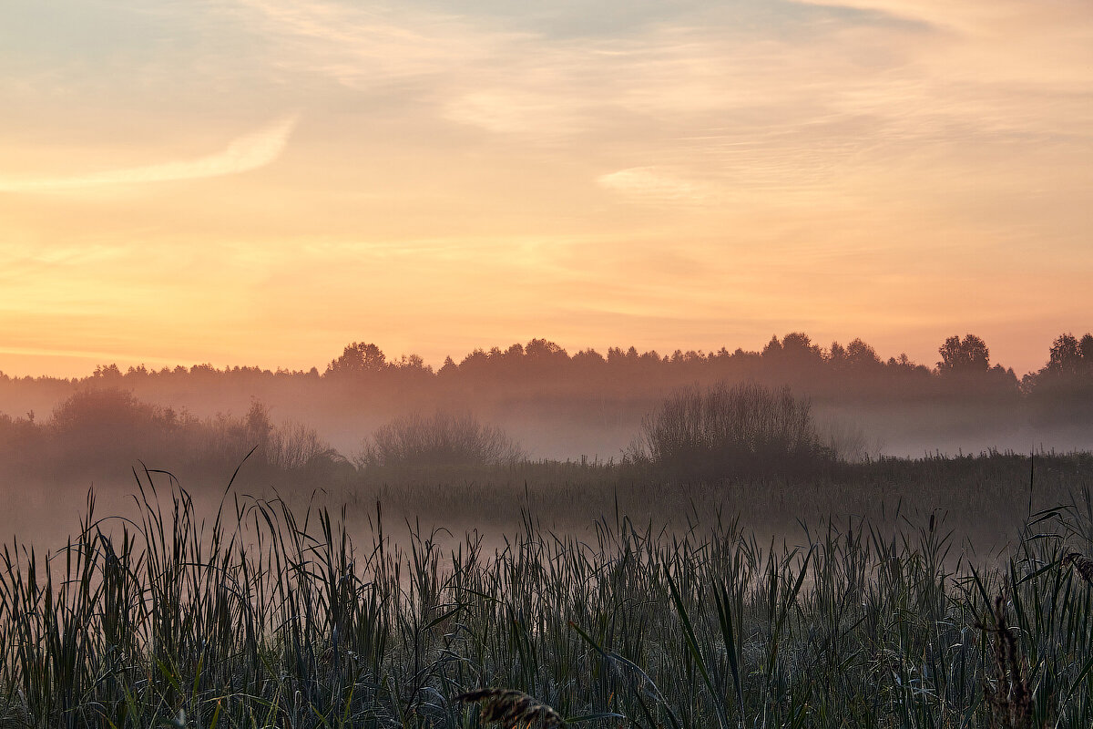 Рассвет - Леонид 
