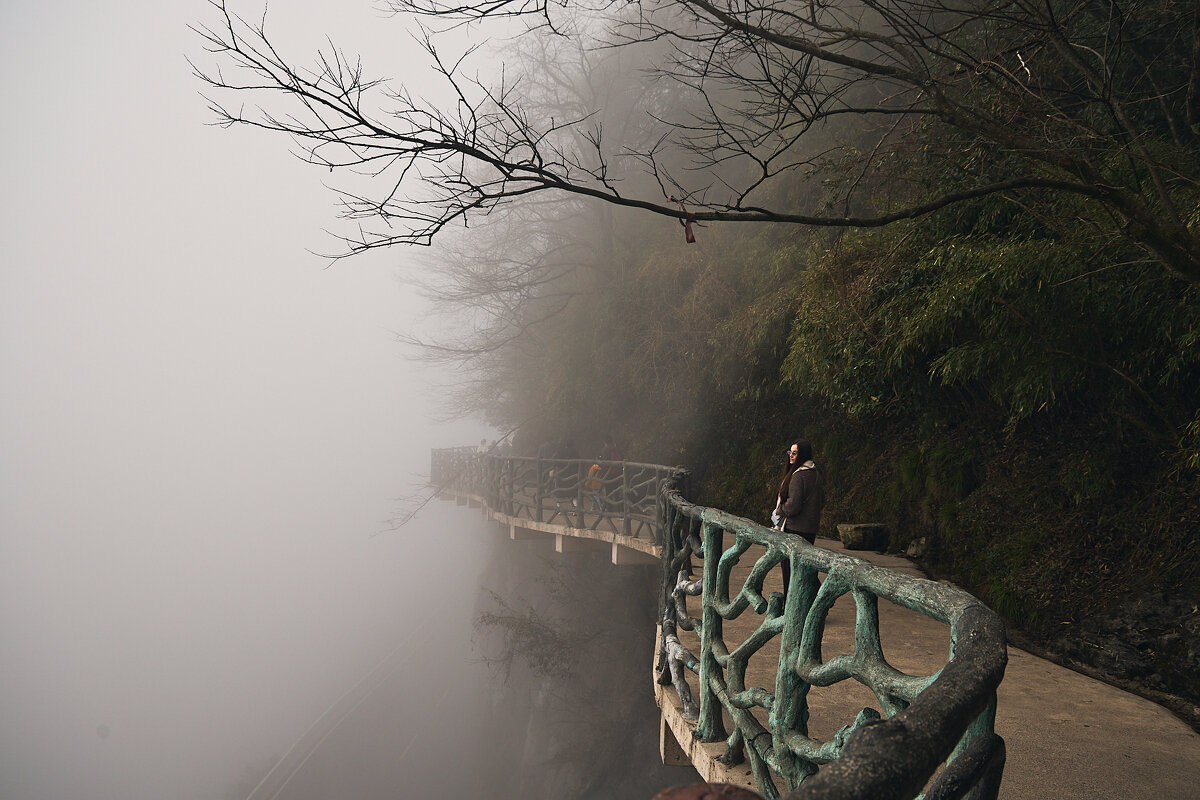 Туман - Андрей Город