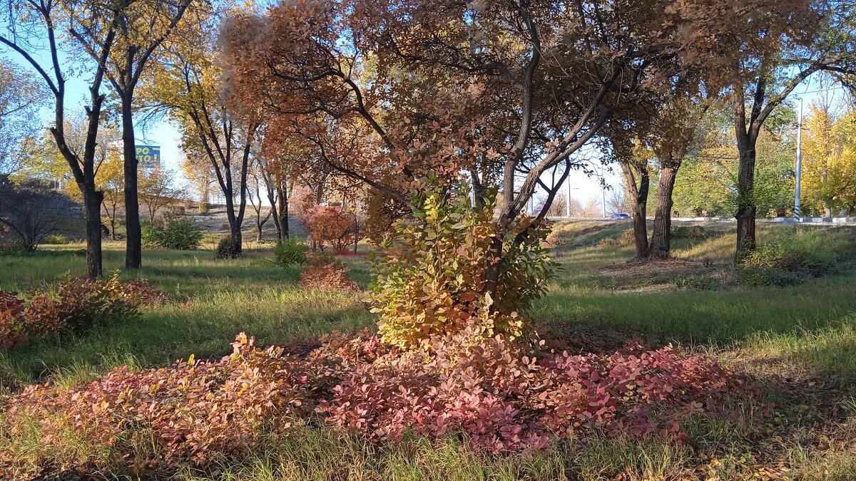 прекрасный октябрь - Елена Шаламова