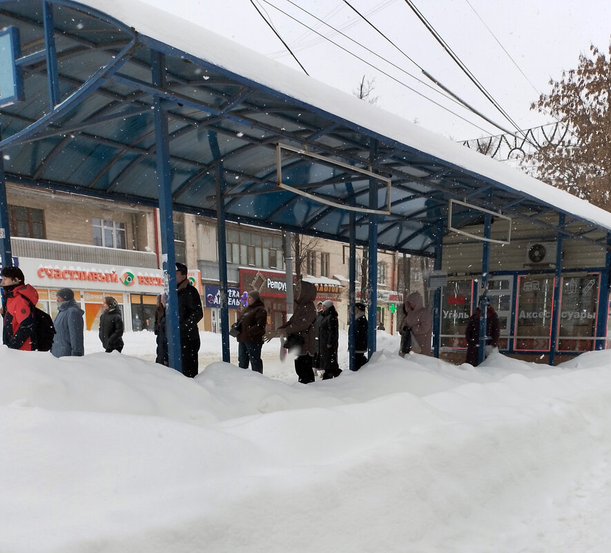 *** - Валентина Береснева