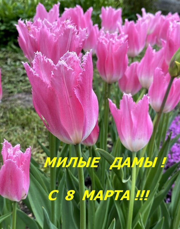 ПОЗДРАВЛЯЮ !!! - Алекс Б-в