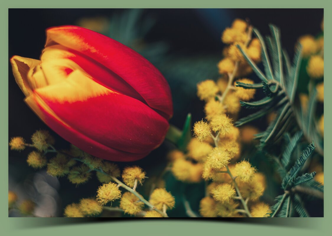 Милые дамы с 8 Марта!!! Мира, Улыбок, Любви! - Сергей В