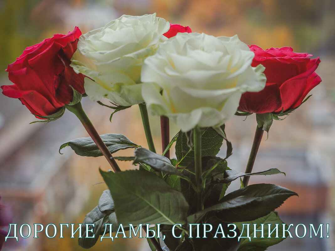 ПОЗДРАВЛЯЮ! - Юрий Велицкий