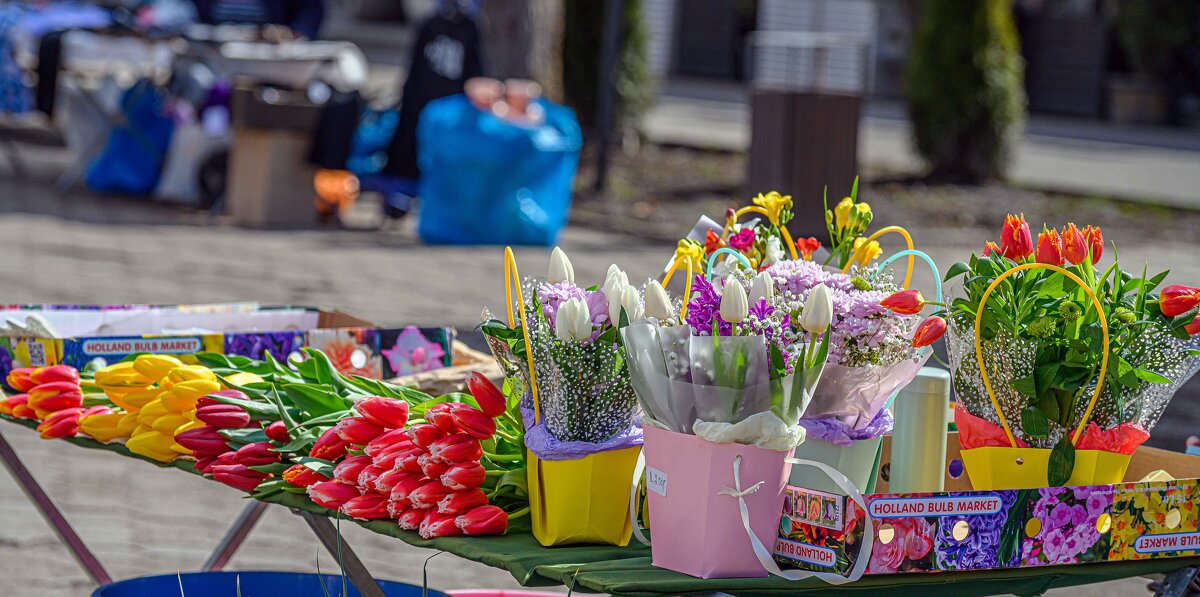 Всех фотоГрафинь с Праздником Весны! - Вячеслав Назаренко